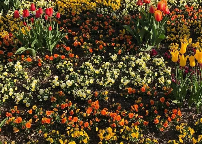 Astoria - Alexandra Kraemer Ek 3*