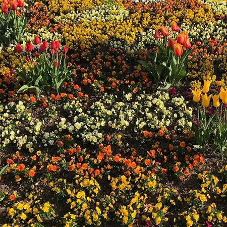 Astoria - Alexandra Kraemer Ek 3*